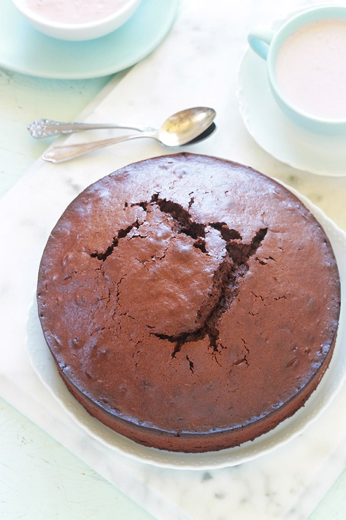 Délicieux gâteau au yaourt et cacao en poudre. Une recette économique et facile que vous pouvez réaliser avec vos enfants. Oeufs, sucre, yaourt, farine, cacao sucré ou pas, huile. Le pot de yaourt vous servira de mesure. Utilisez du yaourt nature ou parfumé. Un régal pour le goûter ou le petit déjeuner.