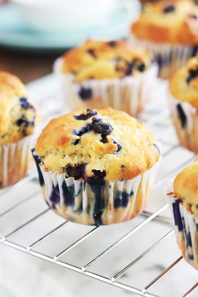 Ces muffins au yaourt et myrtilles sont moelleux à souhait. Ils sont faciles et rapides à faire. Vous pouvez utiliser des myrtilles fraîches ou surgelées. Délicieux tièdes ou froids, au petit déjeuner ou au goûter, vous allez vous régaler avec ces muffins américains !