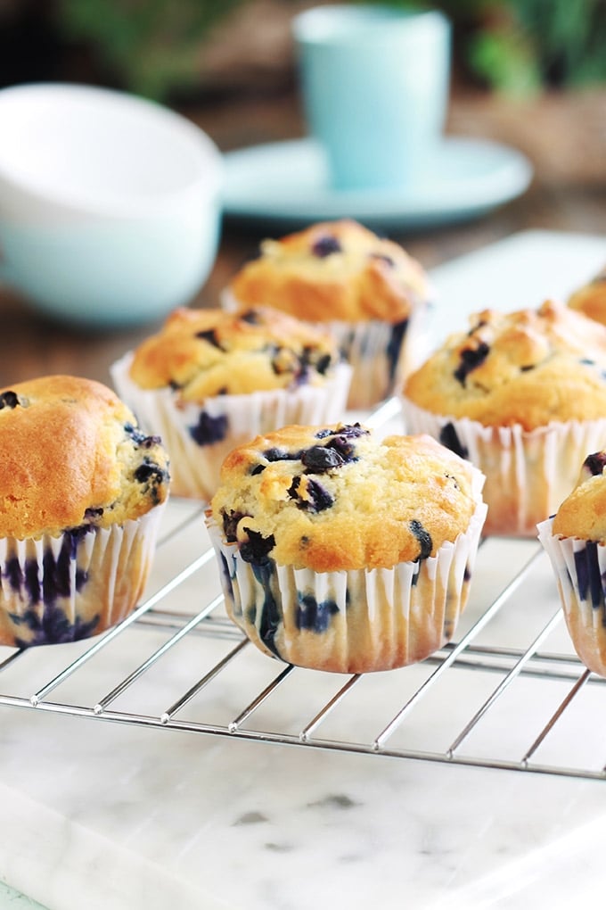 Ces muffins au yaourt et myrtilles sont moelleux à souhait. Ils sont faciles et rapides à faire. Vous pouvez utiliser des myrtilles fraîches ou surgelées. Délicieux tièdes ou froids, au petit déjeuner ou au goûter, vous allez vous régaler avec ces muffins américains !