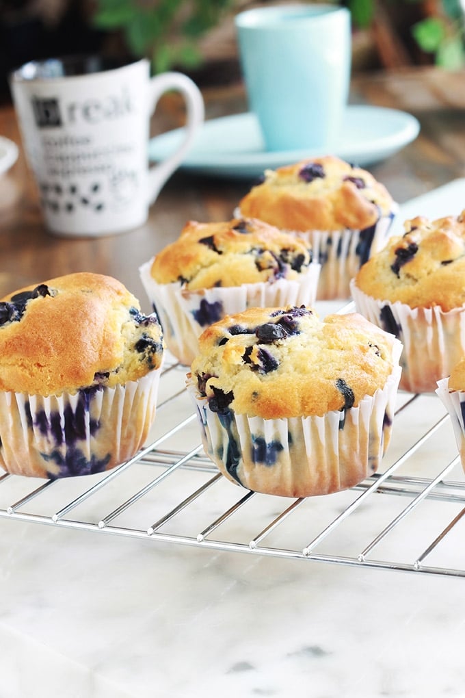 Ces muffins au yaourt et myrtilles sont moelleux à souhait. Ils sont faciles et rapides à faire. Vous pouvez utiliser des myrtilles fraîches ou surgelées. Délicieux tièdes ou froids, au petit déjeuner ou au goûter, vous allez vous régaler avec ces muffins américains !