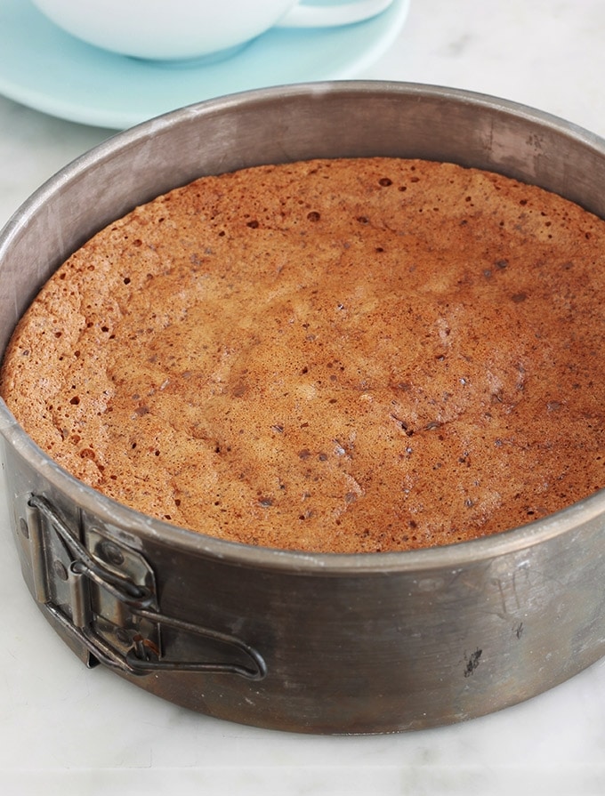 Voici une délicieuse recette de gâteau aux noix sans gluten. Facile à faire, moelleux, fondant et légèrement croquant. Des noix hachées, oeufs, beurre et sucre. Excellent pour le goûter et le petit déjeuner.