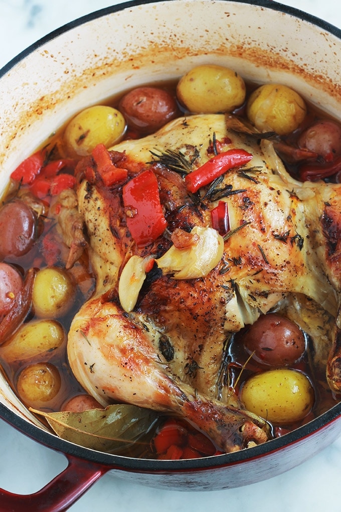 Ce poulet rôti en cocotte au four est très savoureux. La chair du poulet est tendre, fondante et juteuse. Avec les légumes (pommes de terre, poivrons, tomates et oignons) ça vous fait un plat complet, économique et yummy!