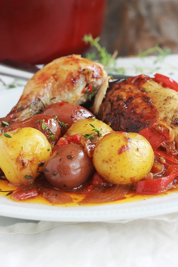 Ce poulet rôti en cocotte au four est très savoureux. La chair du poulet est tendre, fondante et juteuse. Avec les légumes (pommes de terre, poivrons, tomates et oignons) ça vous fait un plat complet, économique et yummy!