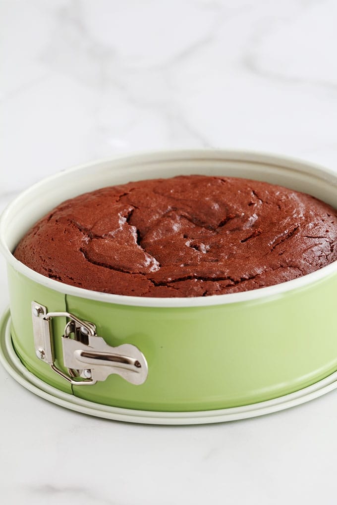 Gâteau au yaourt au chocolat, simple à faire. Une variante de l’incontournable gâteau au pot de yaourt classique. La recette et quelques astuces pour avoir un gâteau au chocolat moelleux, pas sec.