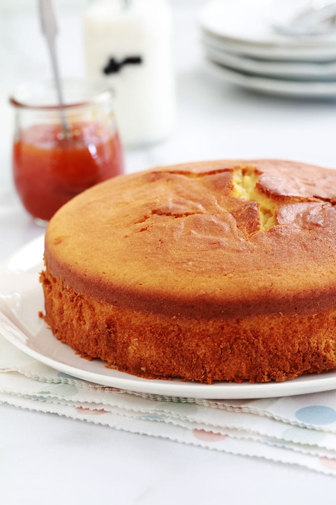 Délicieux gâteau moelleux pour utiliser des jaunes d’oeufs. Nature, parfumé et très facile. Recette de base dont vous vous pouvez faire bien des variantes en ajoutant des fruits, du chocolat, versions mini dans des moules à muffin…