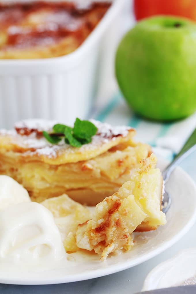 Gateau aux pommes moelleux fondant recette facile bolzano apple cake