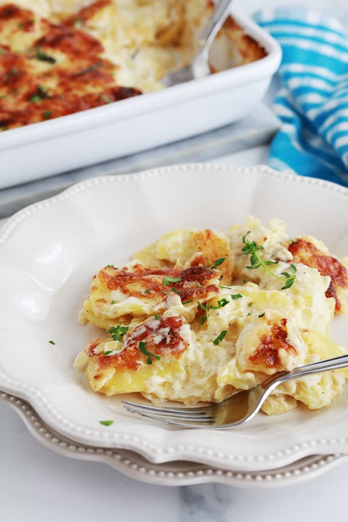 Gratin dauphinois crémeux au fromage dans une assiette