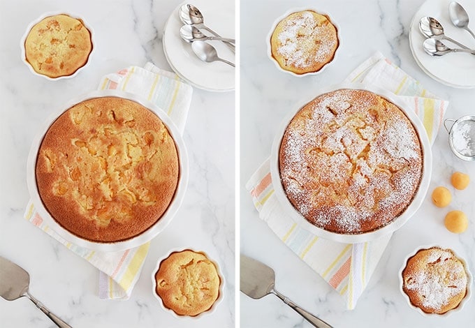 Clafoutis abricots amandes cuit dans un moule à tarte et tartelette, puis saupoudré de sucre glace