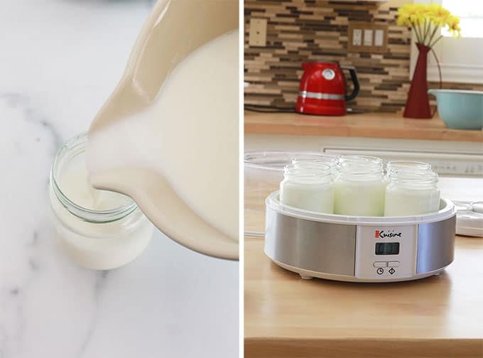 Verser le melange lait et yaourt dans les pots de la yaourtiere et les placer dans la yaourtiere