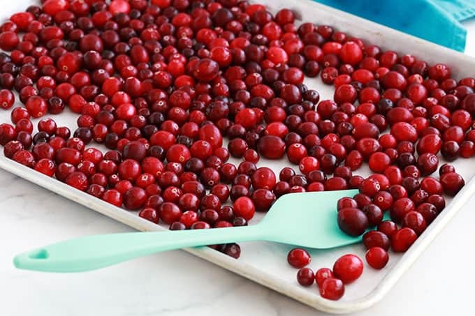 Cranberries (canneberges) fraîches congelées dans une plaque à pâtisserie