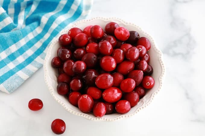Dans un bol, des cranberries fraiches canneberges ou atocas