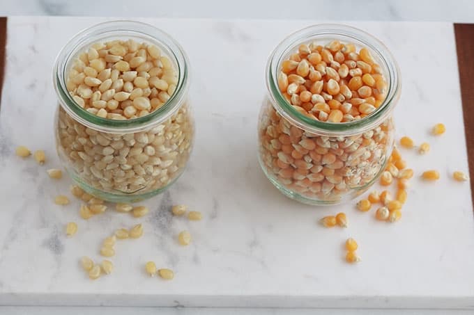 Dans deux contenants, maïs à pop-corn (maïs à souffler ou maïs à éclater). Maïs pour pop-corn jaune à droite et maïs à pop-corn blanc à gauche. 